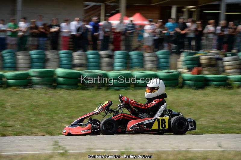 DSC_5346.jpg