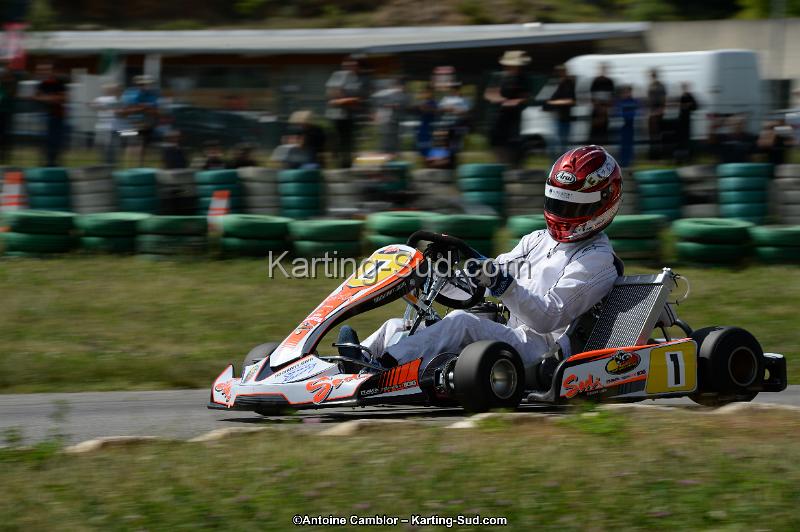DSC_5354.jpg