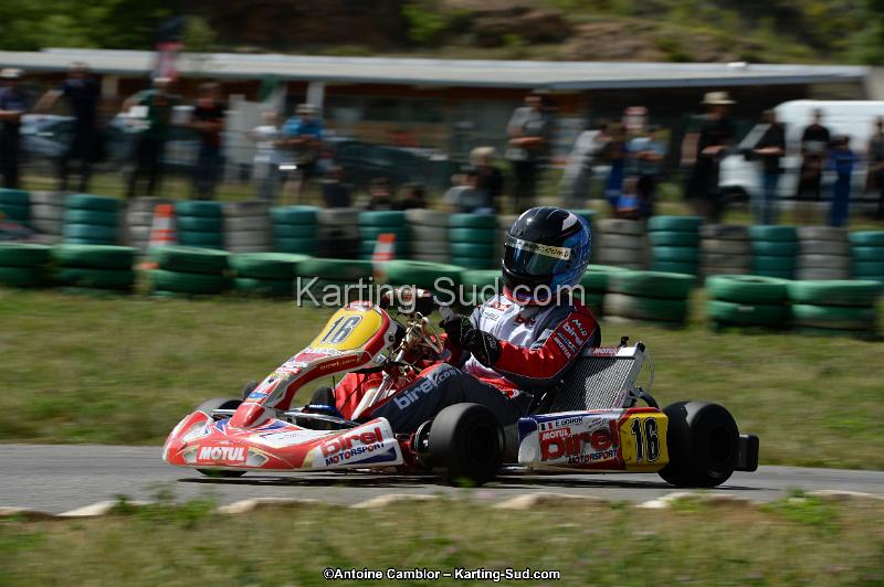DSC_5355.jpg