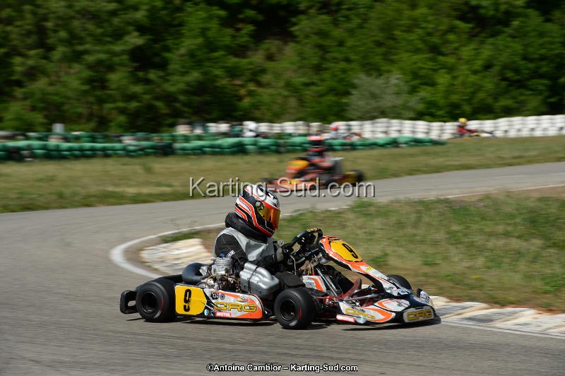DSC_5370.jpg