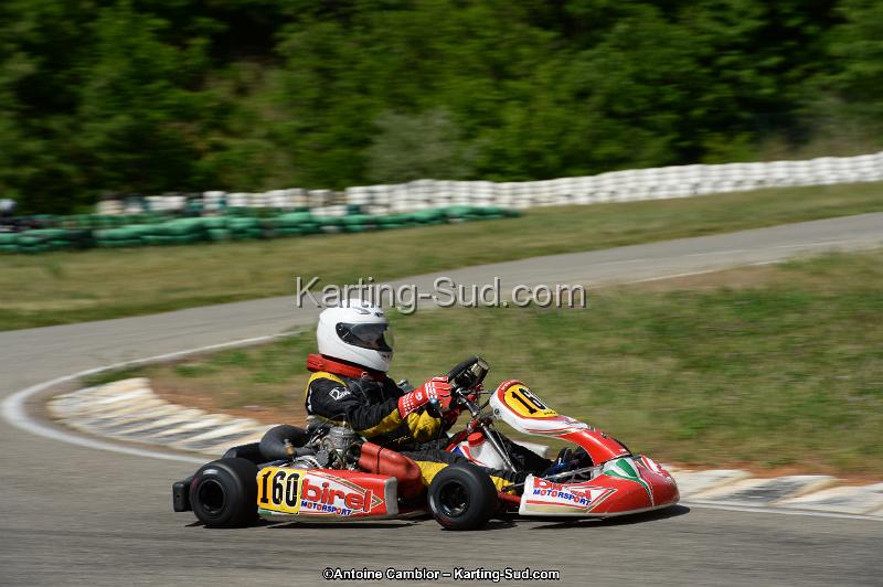 DSC_5374.jpg