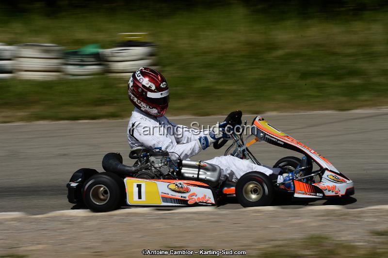 DSC_5376.jpg