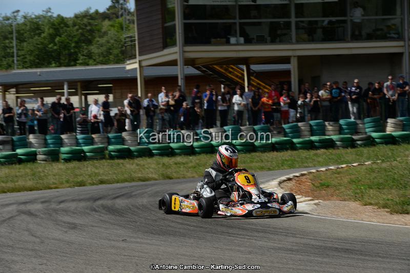 DSC_5382.jpg