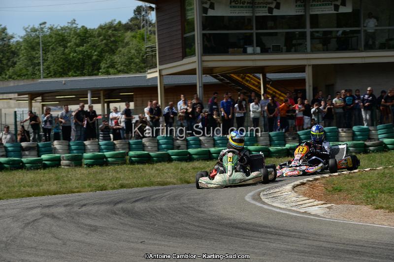 DSC_5384.jpg