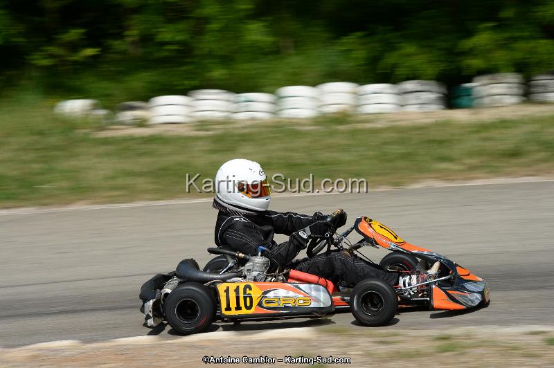 DSC_5398.jpg
