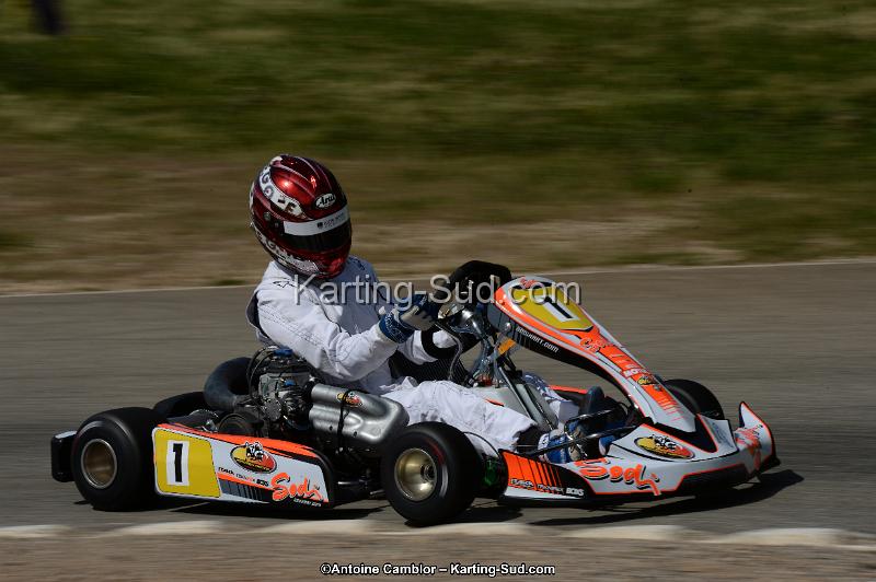 DSC_5402.jpg