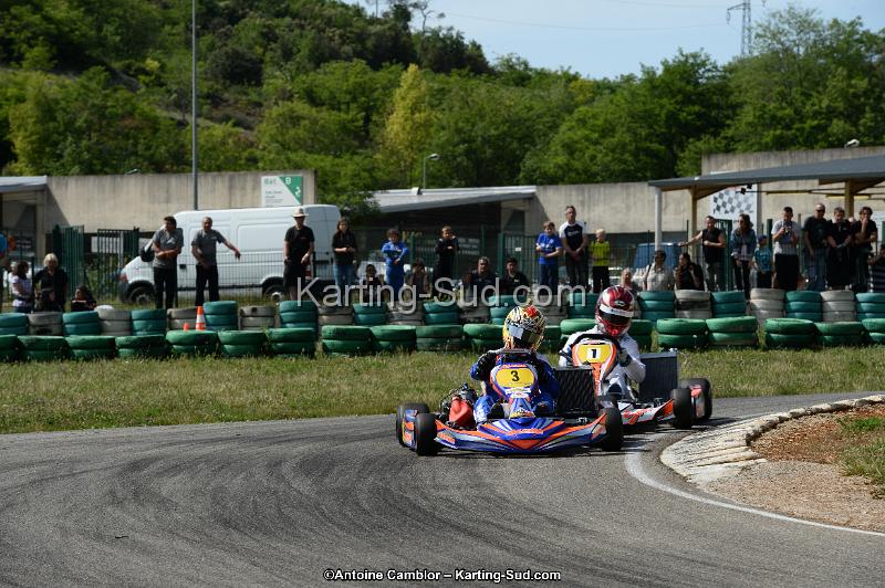 DSC_5411.jpg