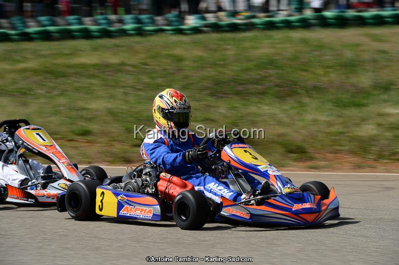 DSC_5412.jpg