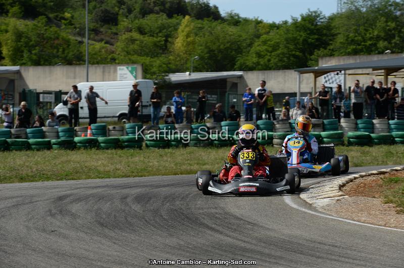 DSC_5416.jpg