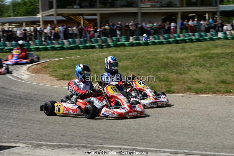 DSC_5423.jpg
