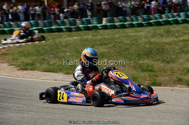DSC_5433.jpg
