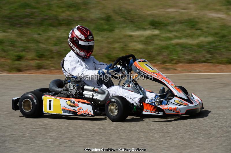 DSC_5436.jpg