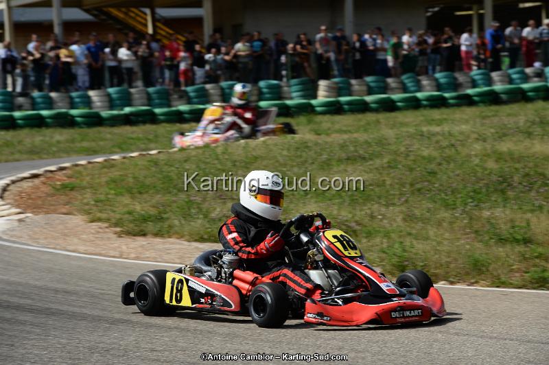 DSC_5438.jpg
