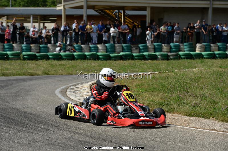 DSC_5454.jpg