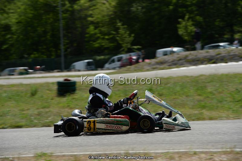 DSC_5461-2.jpg