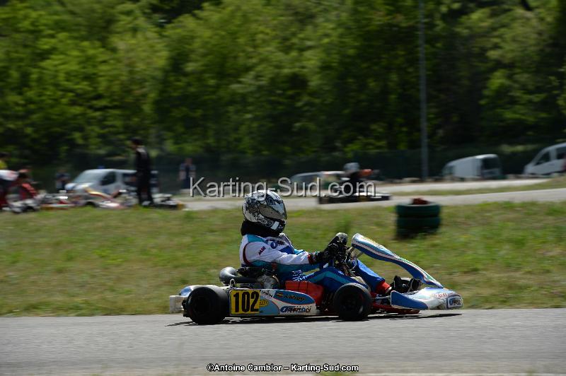 DSC_5464.jpg