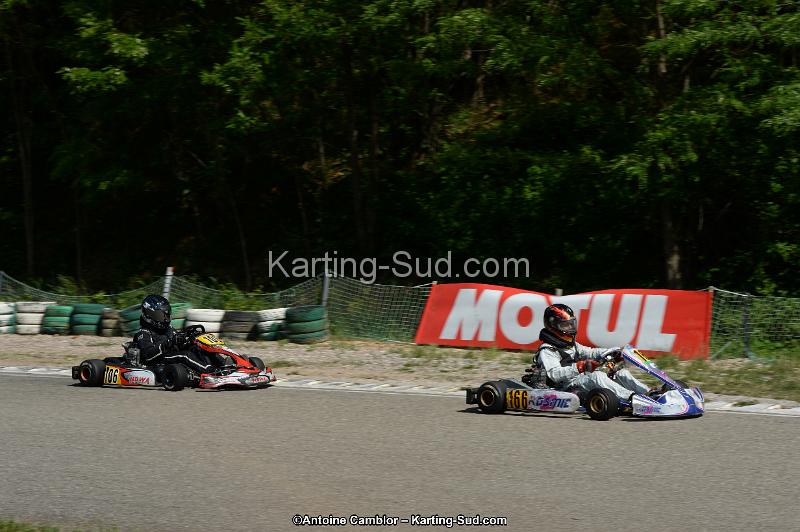 DSC_5474.jpg