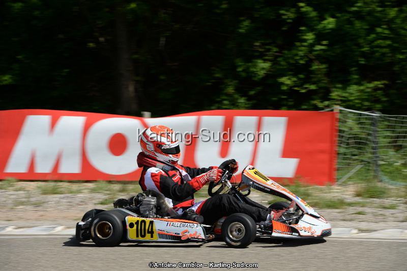 DSC_5477.jpg