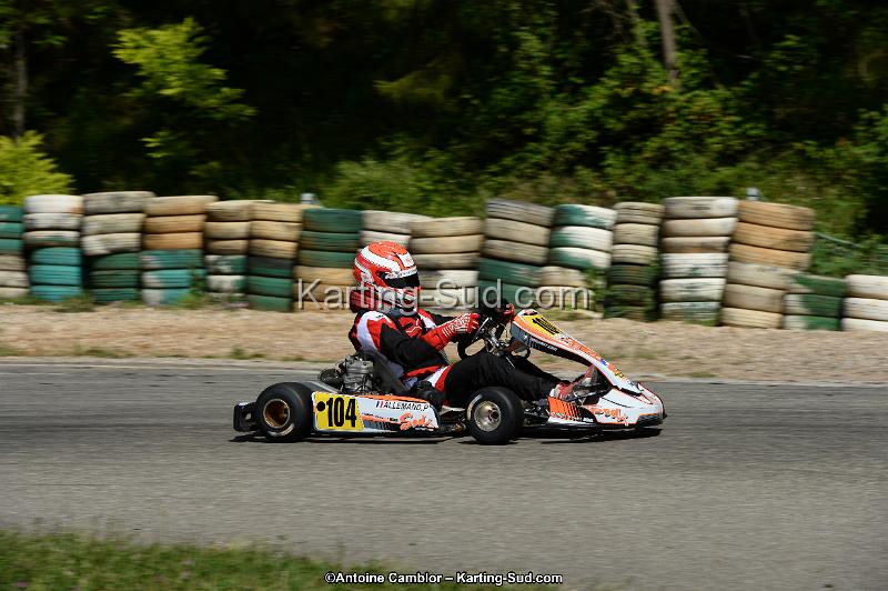 DSC_5481.jpg