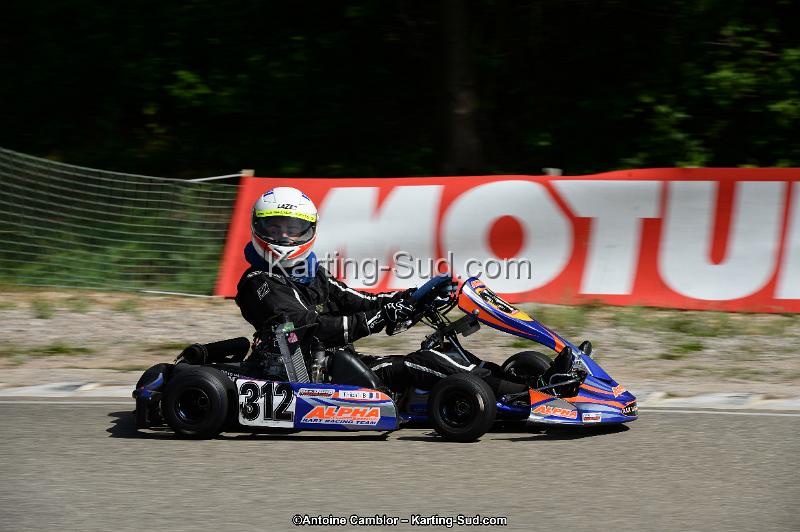 DSC_5485.jpg