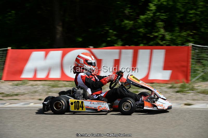 DSC_5488.jpg