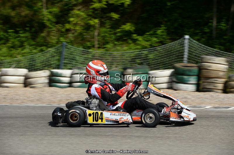 DSC_5493.jpg