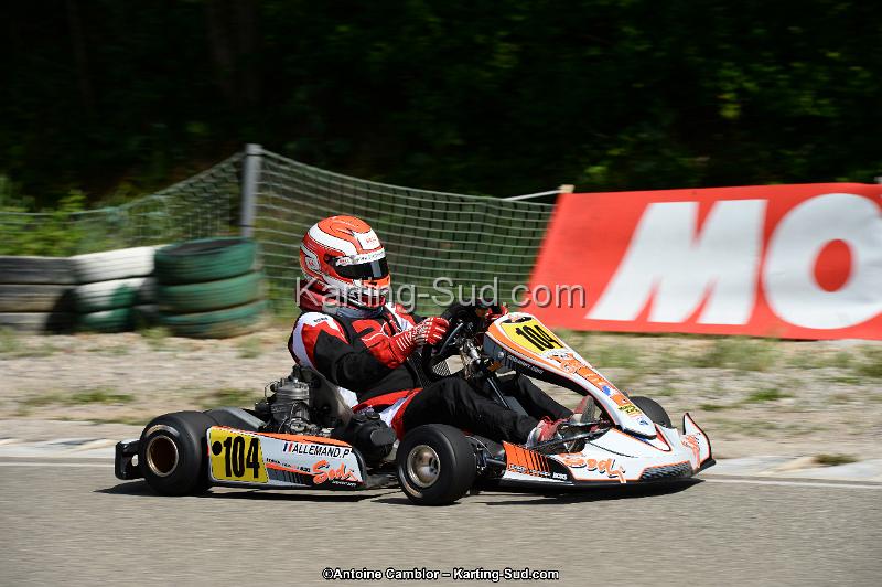 DSC_5503.jpg
