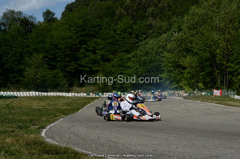 DSC_5558.jpg