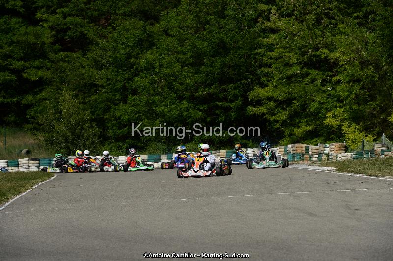 DSC_5562.jpg