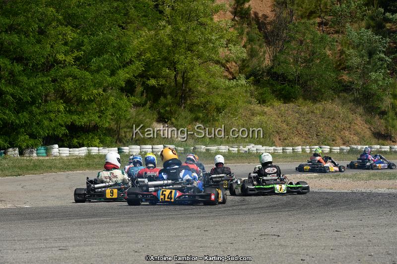 DSC_5567.jpg