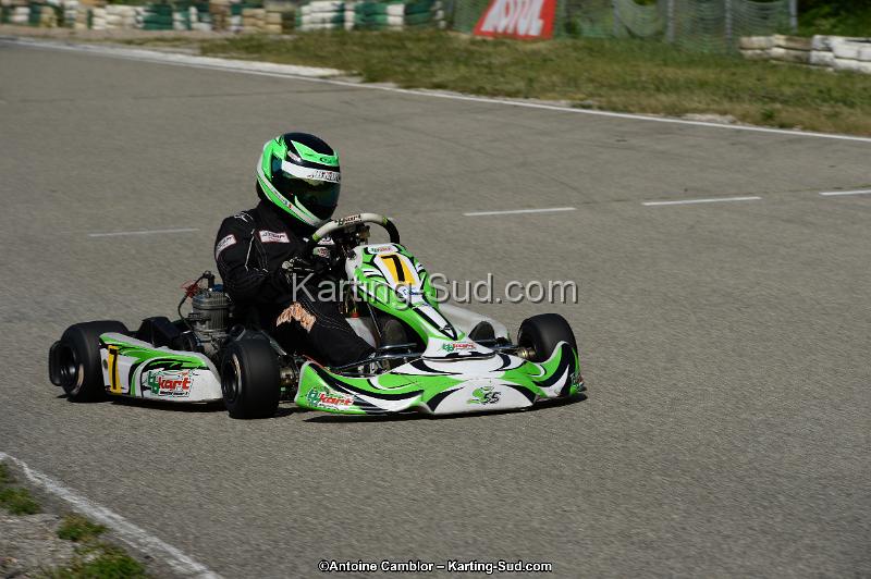 DSC_5594.jpg