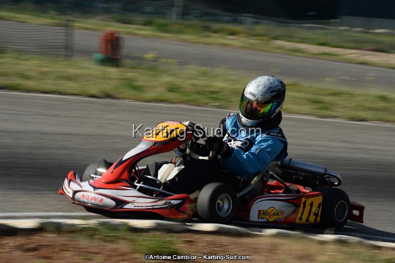 DSC_9478.jpg