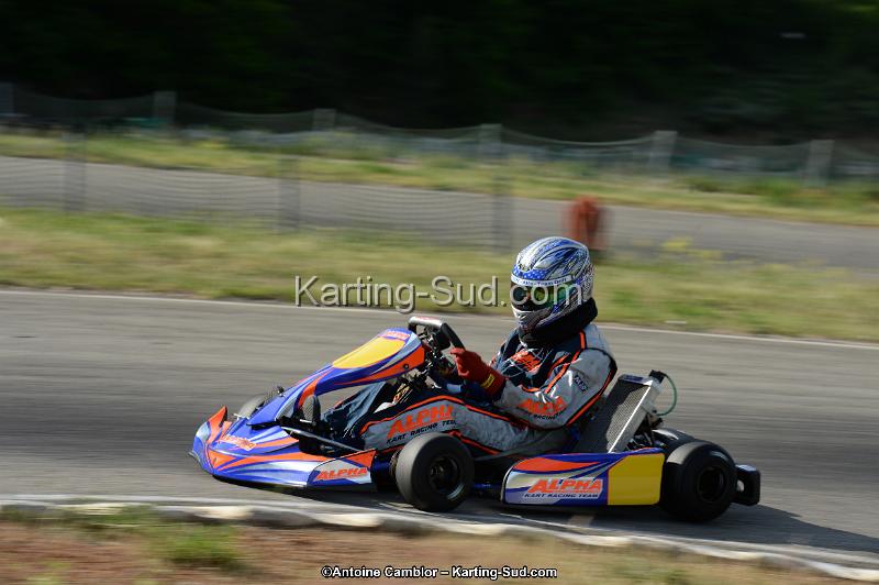 DSC_9684.jpg