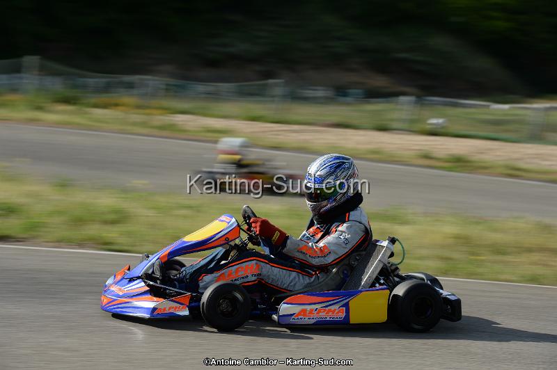 DSC_9731.jpg