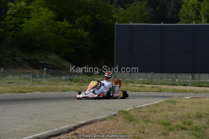 DSC_9911.jpg