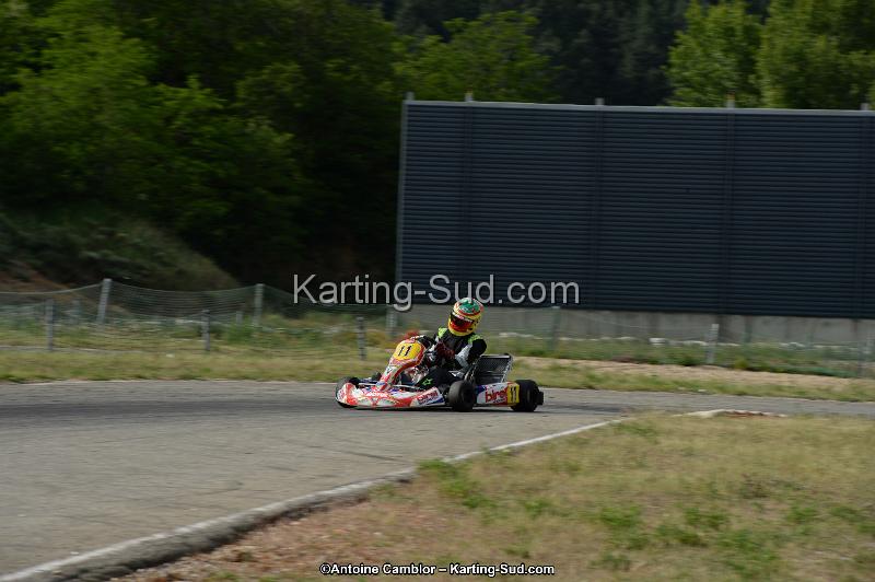 DSC_9917.jpg