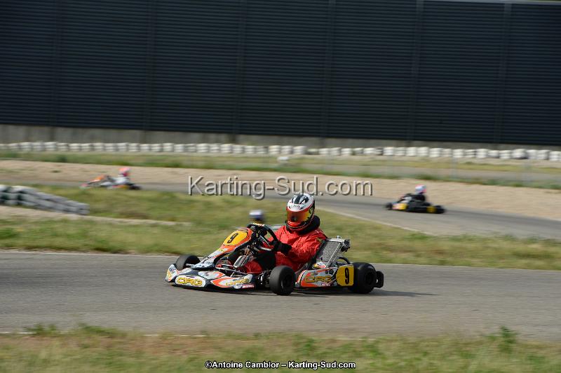 DSC_9923.jpg