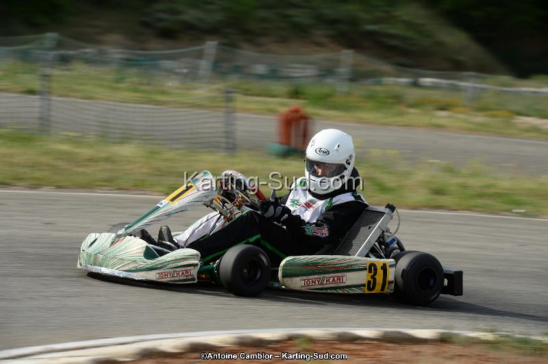 DSC_9951.jpg