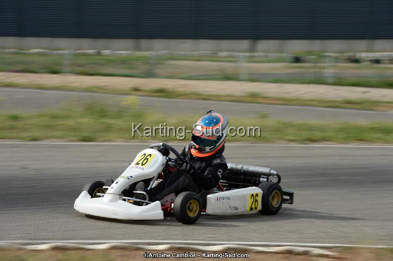 DSC_9988.jpg