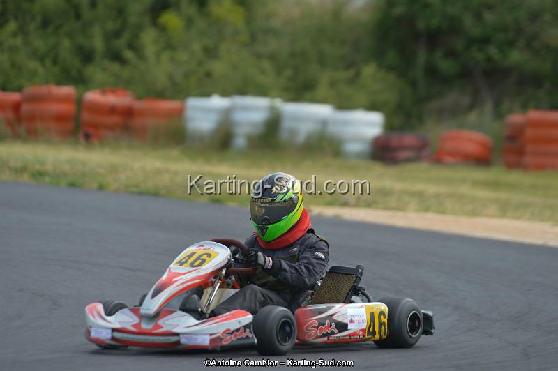 DSC_0135.jpg