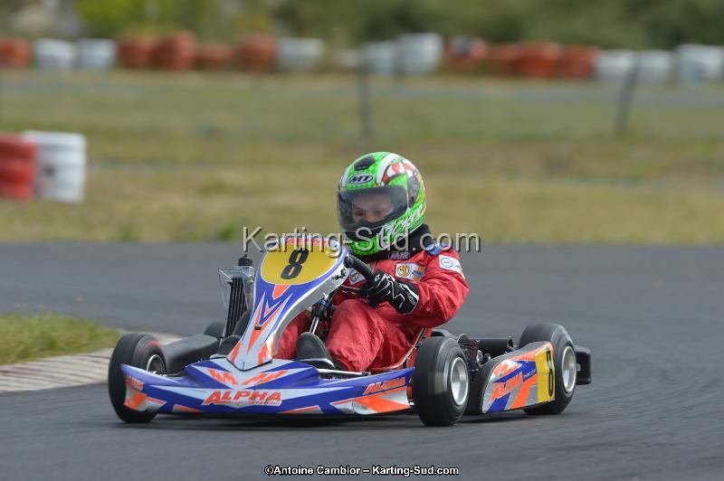 DSC_0248.jpg
