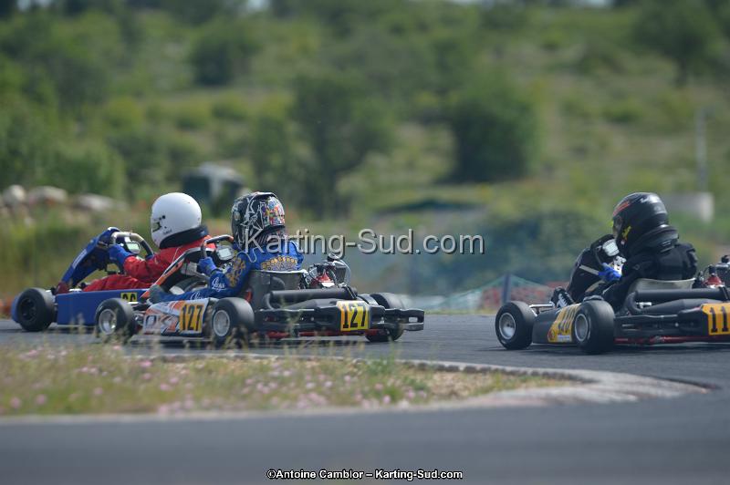 DSC_0271.jpg