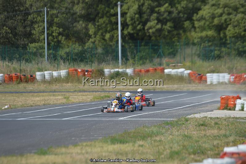 DSC_0274.jpg