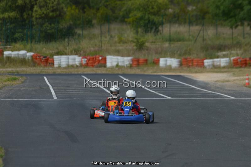 DSC_0297.jpg
