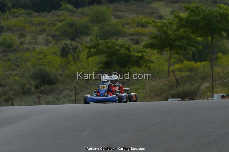 DSC_0302.jpg