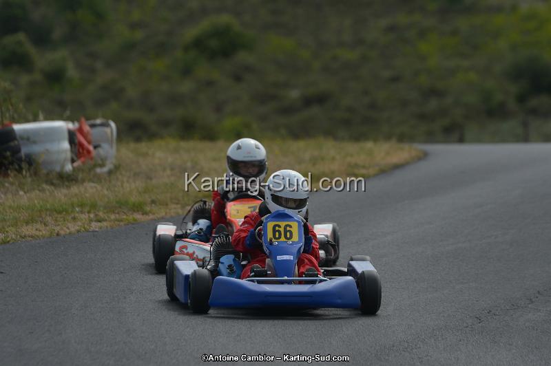 DSC_0303.jpg