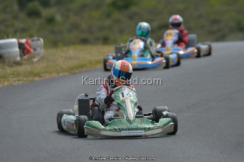 DSC_0409.jpg
