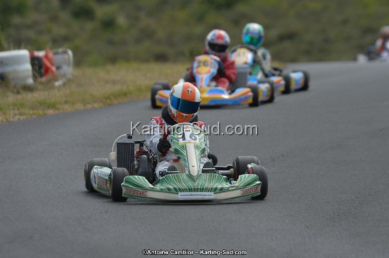 DSC_0421.jpg