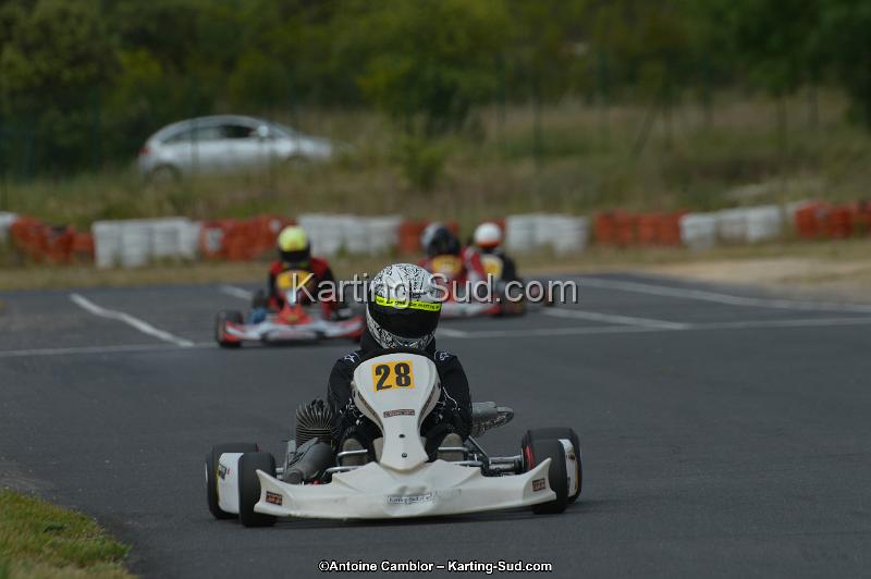 DSC_0455.jpg