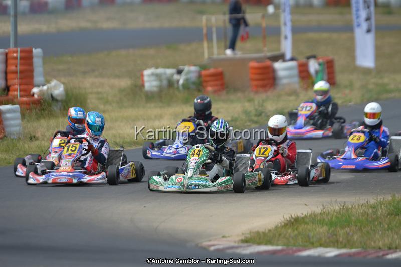 DSC_0515.jpg